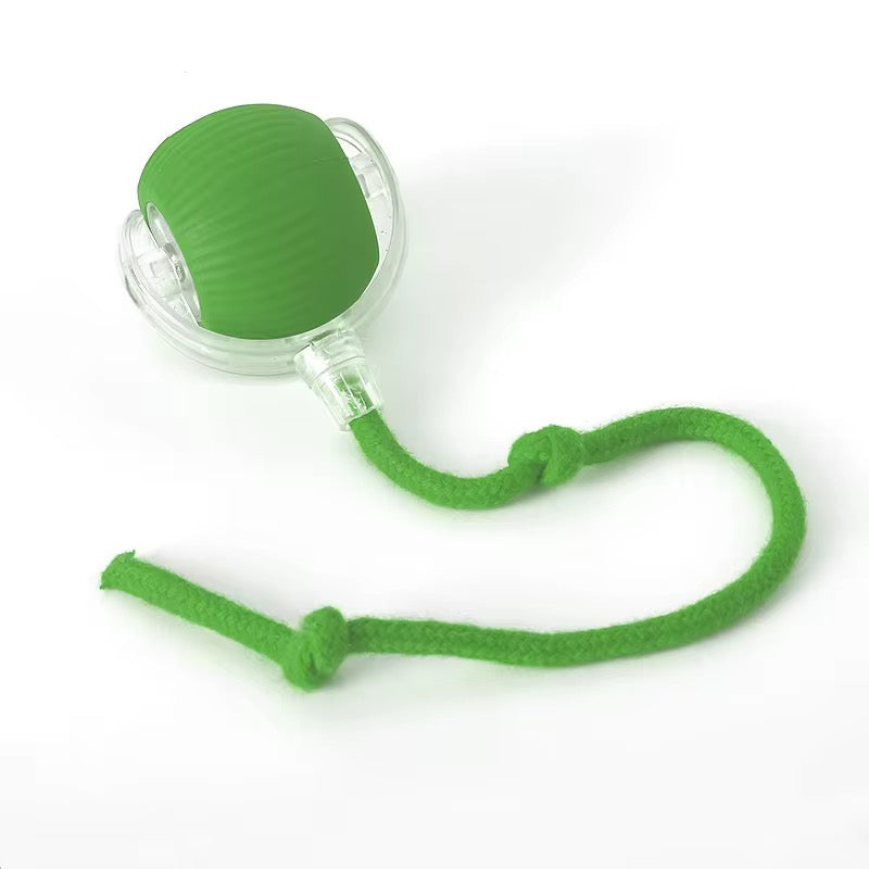 Electric Cat Ball