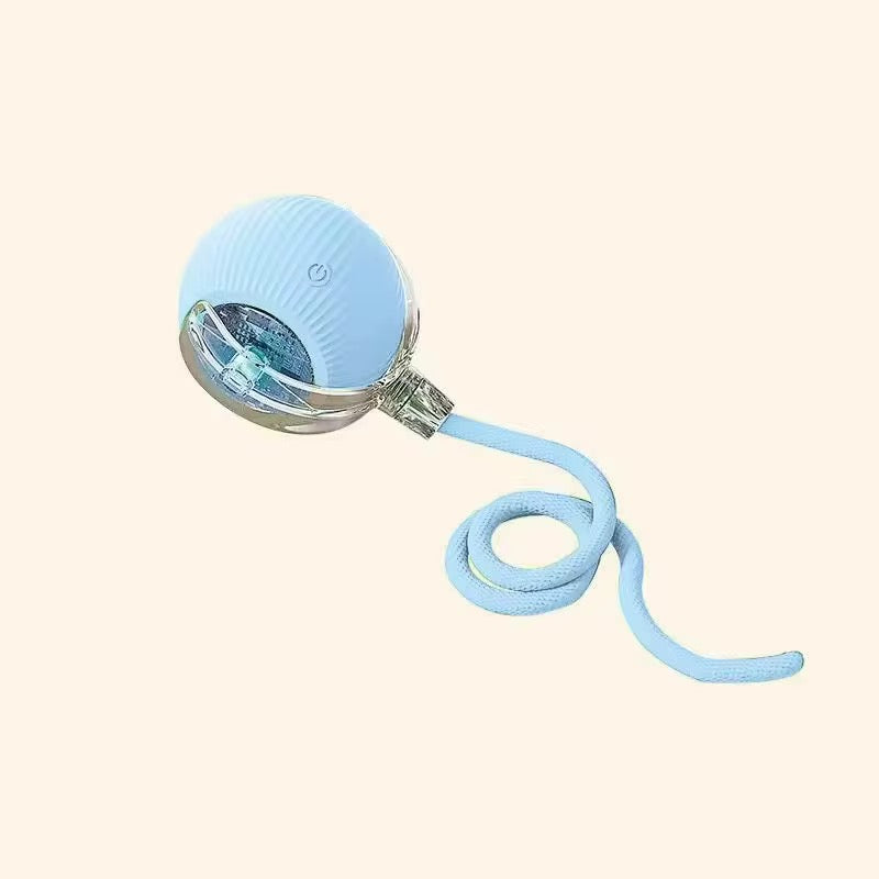 Electric Cat Ball