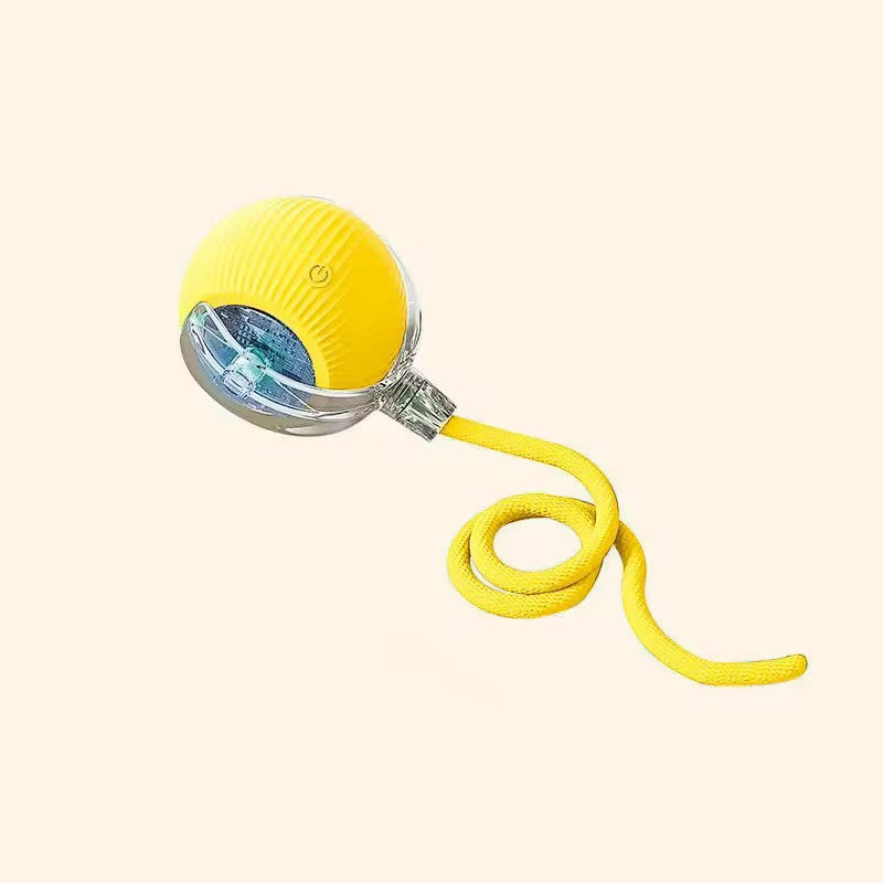 Electric Cat Ball